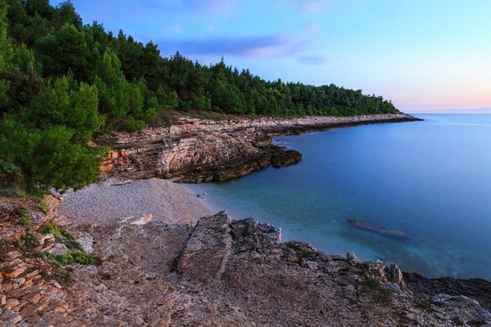 ežero kraštovaizdis, žalias miškas, pilkos uolos, mėlynos spalvos pasteliniai atspalviai, ramus horizontas, dykumos kraštovaizdis, vėsi atmosfera