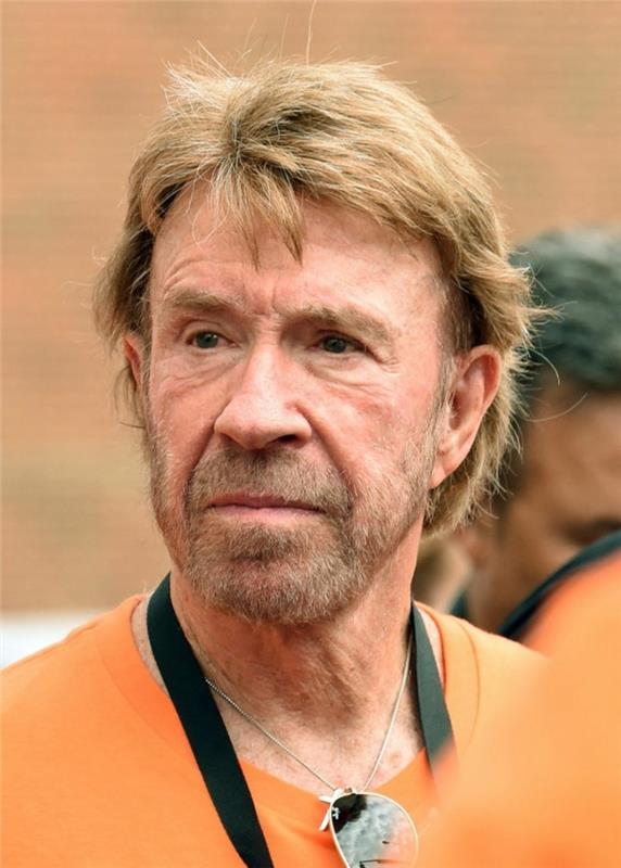 šala-chuck-norris-išče-chuck-norris