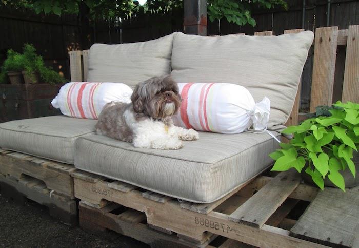 gri koltuk minderleri ve renkli şeker minderleri, sevimli köpek, yeşil bitkiler ile bir bahçede palet kanepe