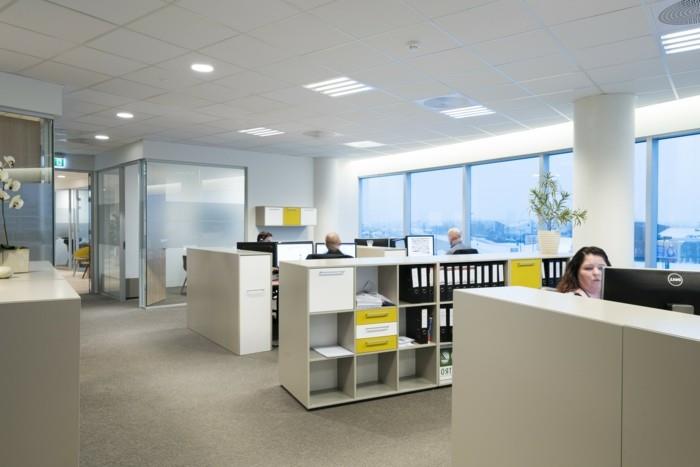 led-lubų plokštė-idėja-organizacija-darbo erdvė-officle-erdvė-led-lubų apšvietimas