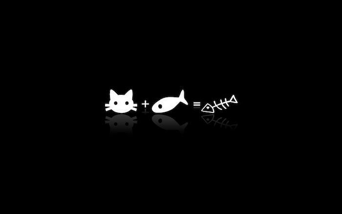 Ozadje mačk in rib, črno -bela fotografija, simbolična črno -belih barv