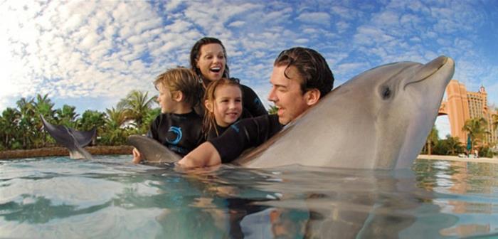 sanja-o-plavanju-z-delfini-marineland-happy-family