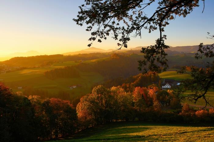 lepa pokrajina za ozadje, zelene ravnice, gore in drevesa, oblečena v jesenske barve