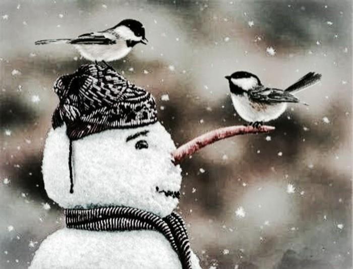 cool-photo-snowman-model-snowman-christmas-snowman