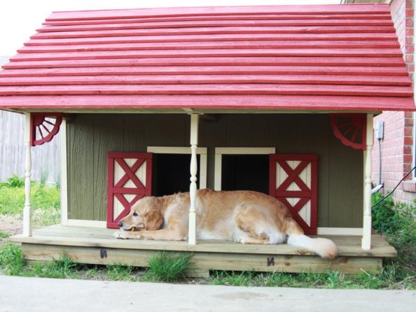 büyük kırmızı çatı için köpek kulübesi