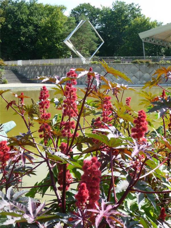 park-floral-of-vincennes-les-grands-ricins-de-Vincennes