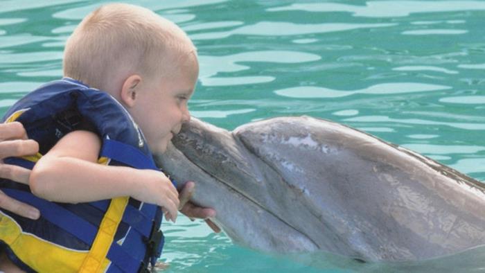 osreči-svoje-sanje-plavaj-z-delfini-marineland-baby-happy