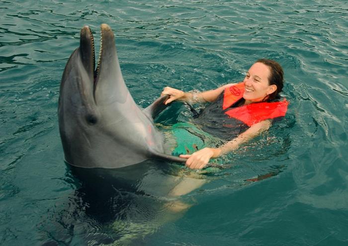 naredi-svoje-sanje-plavaj-z-delfini-marineland-cool-photo