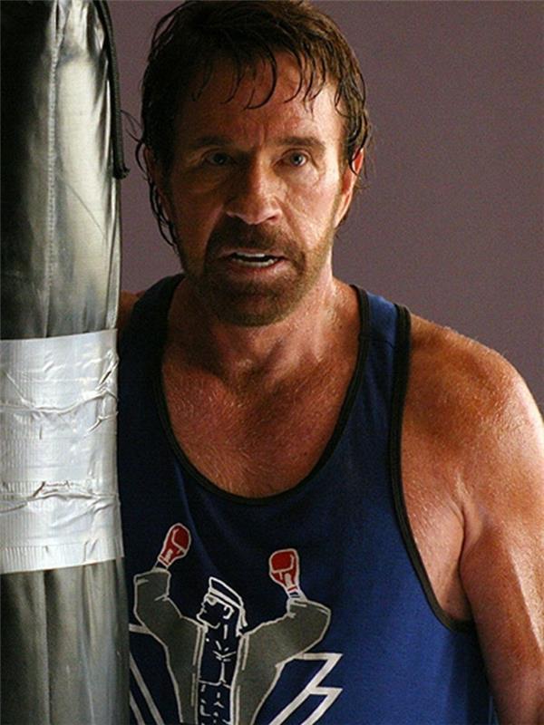 iskanje-chuck-norris-on-google-who-is-chuck-norris